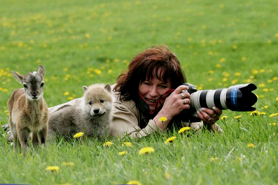 Wonder pup and calf reporting for photographer duty : Oh hey there’s another camera!