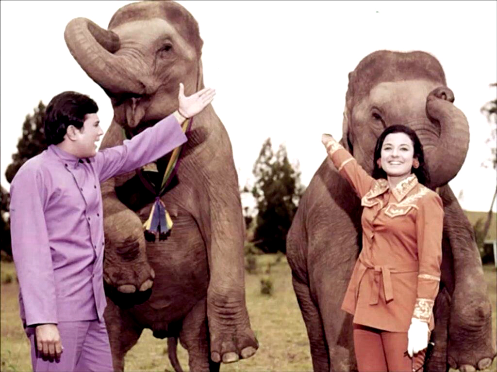 ANIMALS IN CINEMA